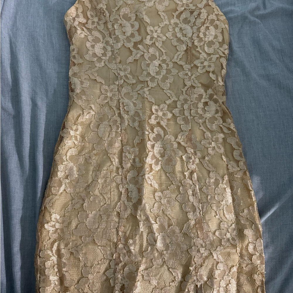 Elegant Lace Dress